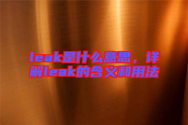 leak是什么意思,詳解leak的含義和用法
