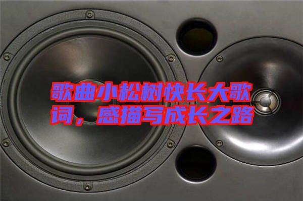 歌曲小松樹快長大歌詞,感描寫成長之路