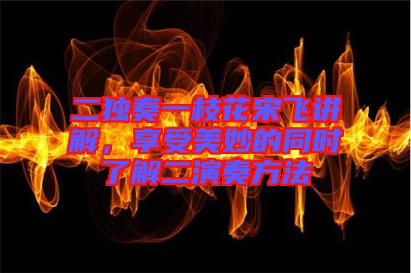 二獨奏一枝花宋飛講解,享受美妙的同時了解二演奏方法