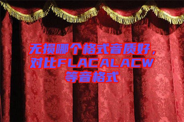 無損哪個格式音質(zhì)好,對比FLACALACW等音格式