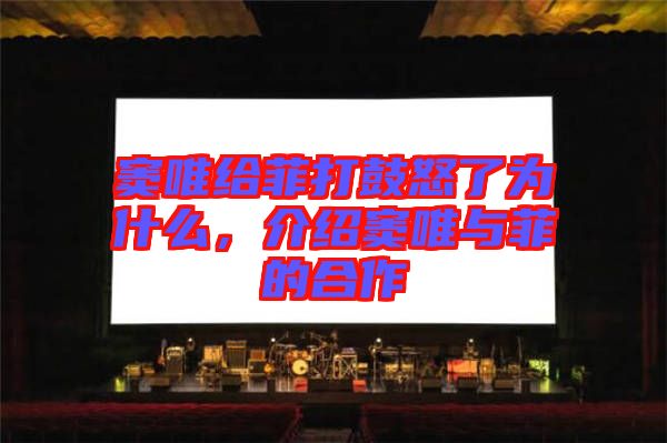 竇唯給菲打鼓怒了為什么，介紹竇唯與菲的合作