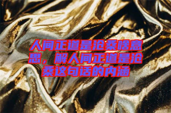 人間正道是滄桑啥意思,解人間正道是滄桑這句話的內涵