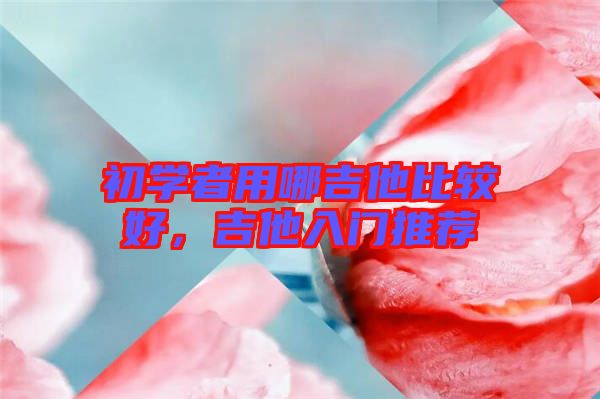 初學(xué)者用哪吉他比較好,吉他入門推薦