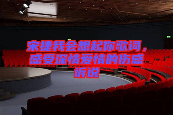 宋捷我會(huì)想起你歌詞，感受深情愛情的傷感訴說
