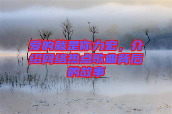愛的就是你力宏,介紹網(wǎng)絡(luò)熱點(diǎn)歌曲背后的故事