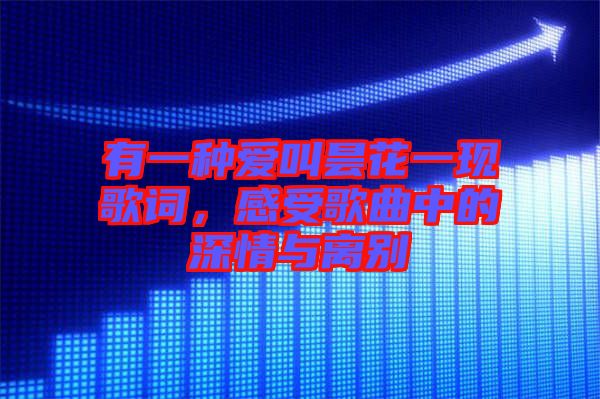 有一種愛叫曇花一現(xiàn)歌詞,感受歌曲中的深情與離別