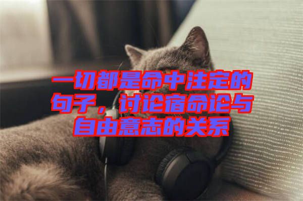 一切都是命中注定的句子，討論宿命論與自由意志的關(guān)系