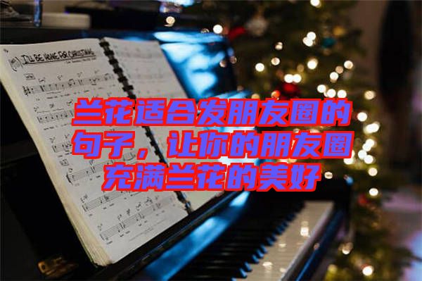 蘭花適合發朋友圈的句子，讓你的朋友圈充滿蘭花的美好