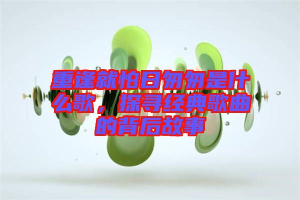 重逢就怕日匆匆是什么歌,探尋經典歌曲的背后故事