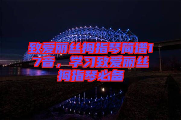 致愛麗絲拇指琴簡譜17音,學習致愛麗絲拇指琴必備