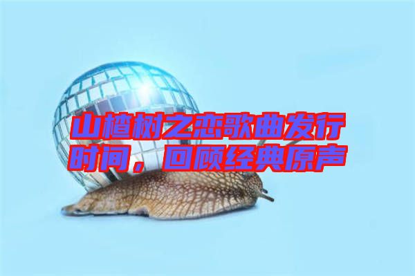 山楂樹之戀歌曲發行時間，回顧經典原聲