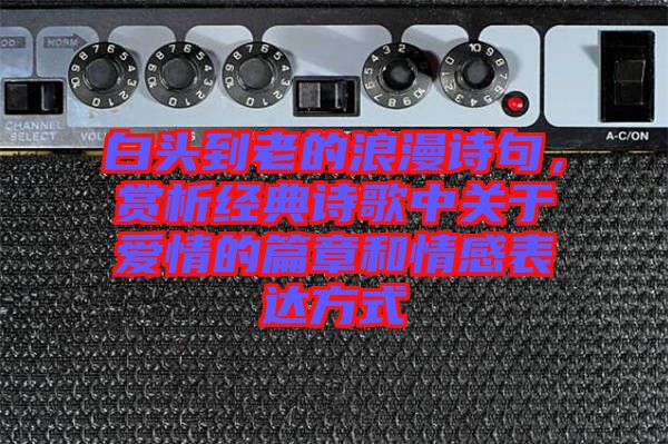白頭到老的浪漫詩句,賞析經典詩歌中關于愛情的篇章和情感表達方式