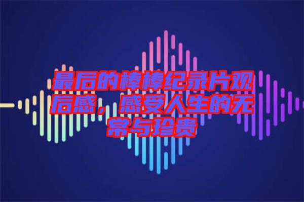 最后的棒棒紀(jì)錄片觀后感,感受人生的無常與珍貴