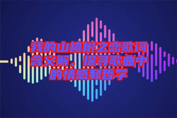 我的山楂樹之戀歌詞含義解,探尋歌曲中的情感和哲學