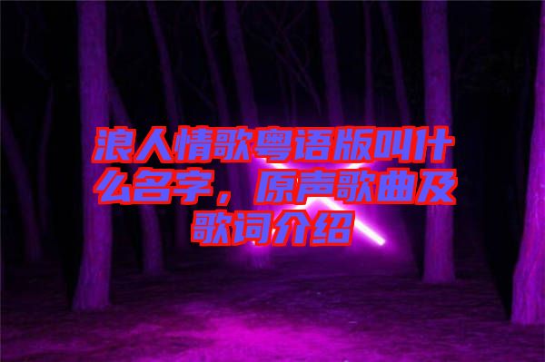 浪人情歌粵語版叫什么名字,原聲歌曲及歌詞介紹