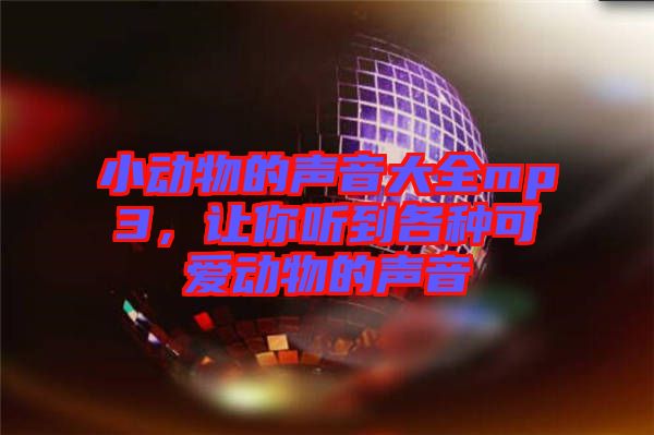 小動(dòng)物的聲音大全mp3,讓你聽(tīng)到各種可愛(ài)動(dòng)物的聲音