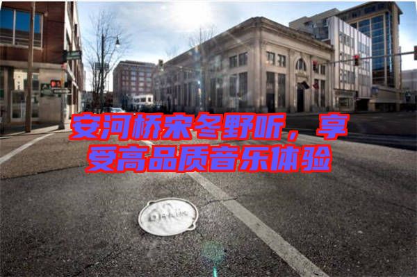 安河橋宋冬野聽，享受高品質音樂體驗