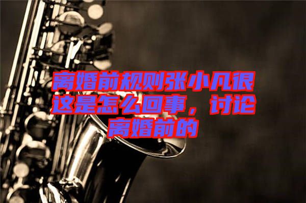 離婚前規則張小凡很這是怎么回事,討論離婚前的