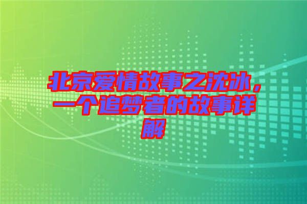 北京愛情故事之沈冰,一個追夢者的故事詳解