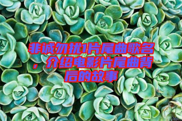 非誠勿擾1片尾曲歌名,介紹電影片尾曲背后的故事