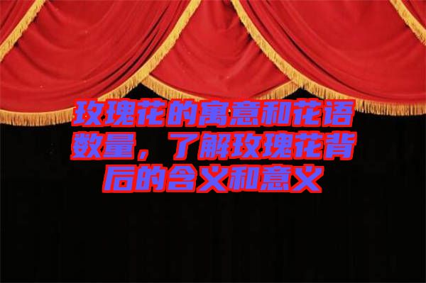 玫瑰花的寓意和花語數(shù)量,了解玫瑰花背后的含義和意義