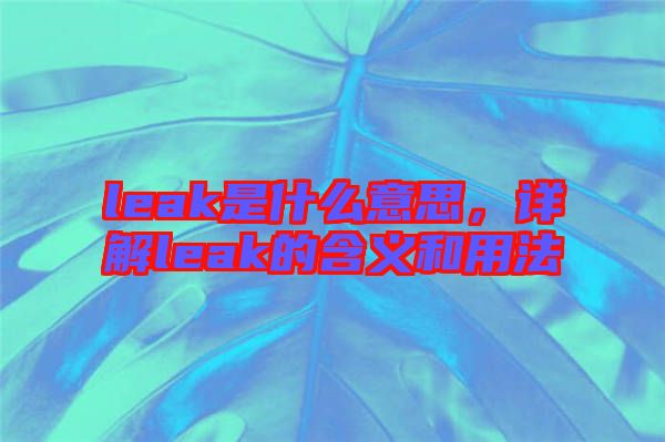 leak是什么意思，詳解leak的含義和用法