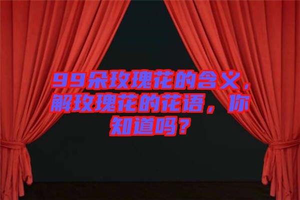 99朵玫瑰花的含義,解玫瑰花的花語(yǔ),你知道嗎?