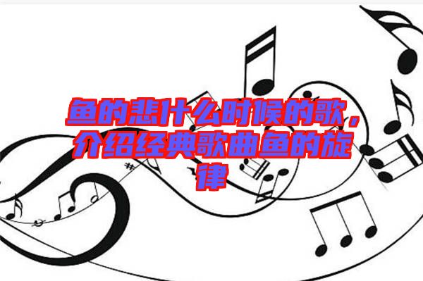 魚的悲什么時候的歌,介紹經典歌曲魚的旋律