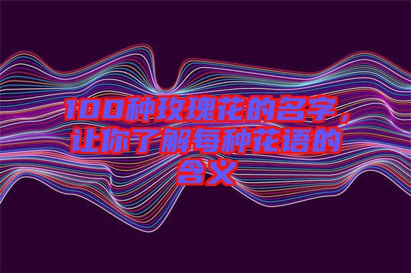 100種玫瑰花的名字,讓你了解每種花語(yǔ)的含義
