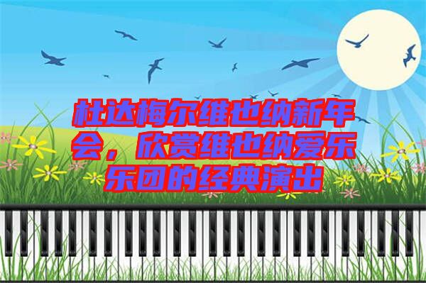杜達梅爾維也納新年會,欣賞維也納愛樂樂團的經典演出