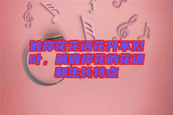 彼岸花花語(yǔ)花開(kāi)不見(jiàn)葉,解彼岸花的花語(yǔ)和生長(zhǎng)特點(diǎn)
