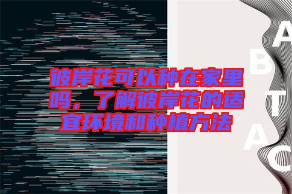 彼岸花可以種在家里嗎,了解彼岸花的適宜環境和種植方法