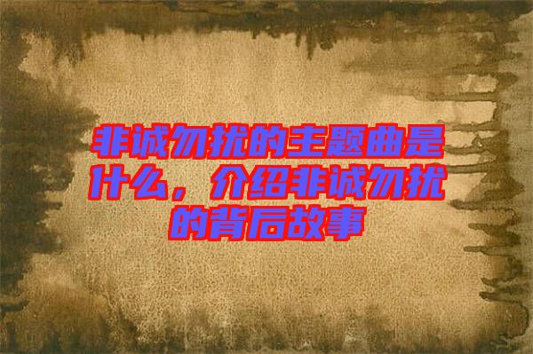 非誠勿擾的主題曲是什么,介紹非誠勿擾的背后故事