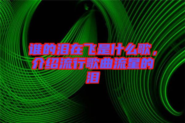 誰(shuí)的淚在飛是什么歌,介紹流行歌曲流星的淚