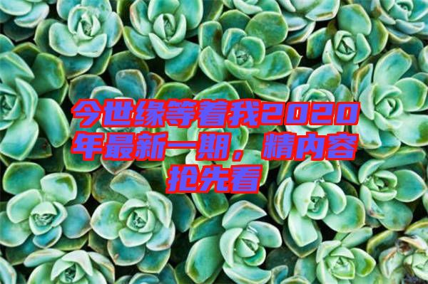 今世緣等著我2020年最新一期,精內容搶先看
