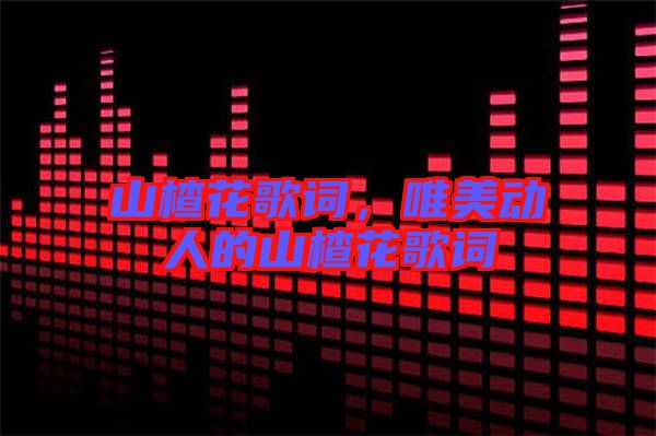 山楂花歌詞,唯美動(dòng)人的山楂花歌詞