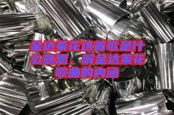 金達(dá)萊花這首歌是什么意思,解金達(dá)萊花歌曲的內(nèi)涵