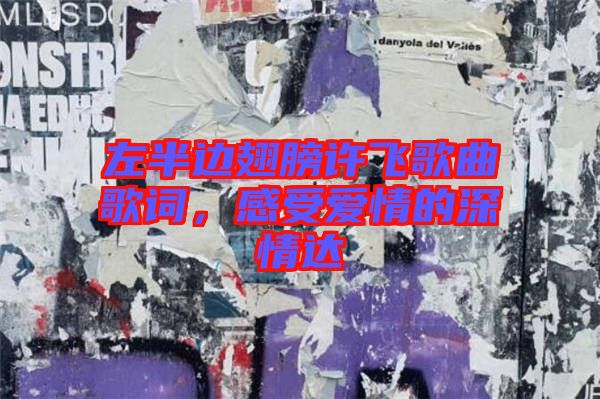 左半邊翅膀許飛歌曲歌詞,感受愛情的深情達