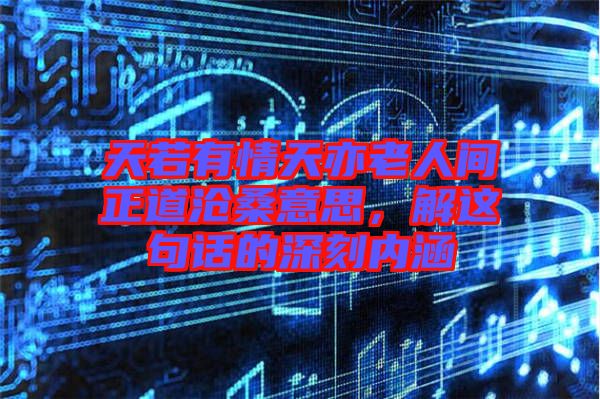 天若有情天亦老人間正道滄桑意思,解這句話的深刻內涵