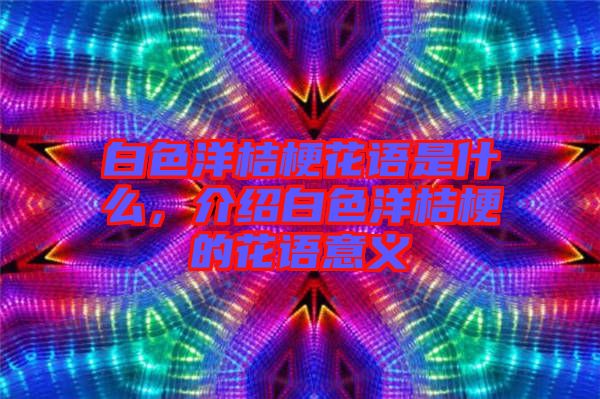 白色洋桔?；ㄕZ是什么，介紹白色洋桔梗的花語意義