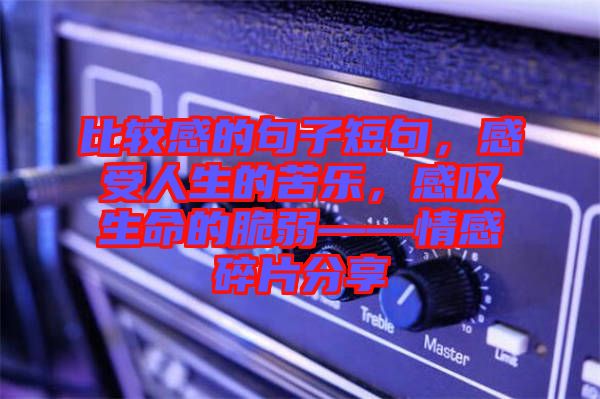 比較感的句子短句,感受人生的苦樂,感嘆生命的脆弱——情感碎片分享