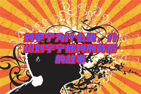 劉宇寧為什么坐,介紹劉宇寧被判刑背后的故事