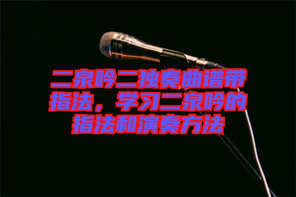 二泉吟二獨奏曲譜帶指法,學習二泉吟的指法和演奏方法