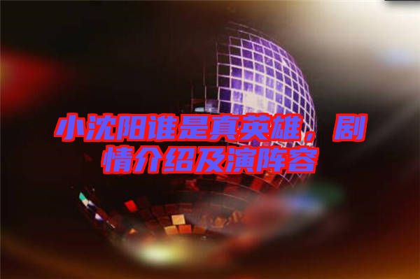小沈陽誰是真英雄,劇情介紹及演陣容