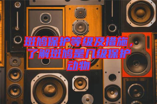 斑鳩保護等級及措施,了解斑鳩是幾級保護動物