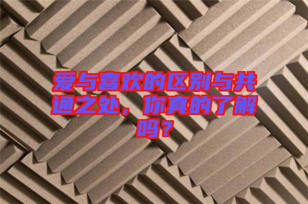 愛與喜歡的區別與共通之處，你真的了解嗎？