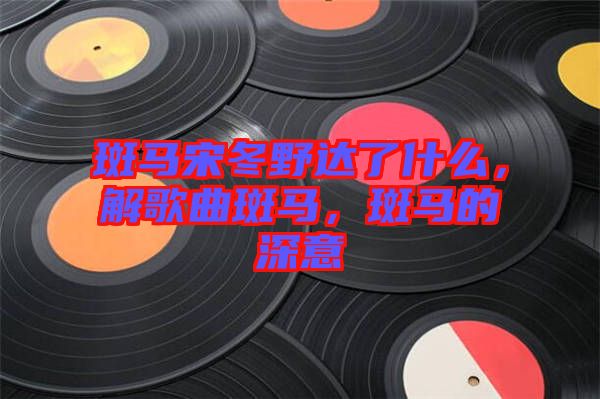 斑馬宋冬野達了什么，解歌曲斑馬，斑馬的深意