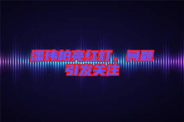 潘瑋柏亮紅燈,問(wèn)題引發(fā)關(guān)注