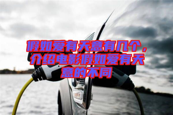 假如愛有天意有幾個，介紹電影假如愛有天意的不同