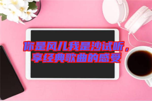 你是風(fēng)兒我是沙試聽(tīng),享經(jīng)典歌曲的感受